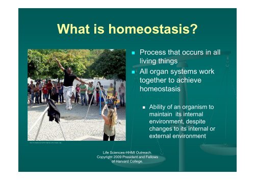 Homeostasis - Life Sciences Outreach Program