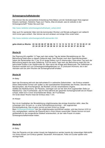 Schwangerschaftskalender Von Babycloud In Diesem