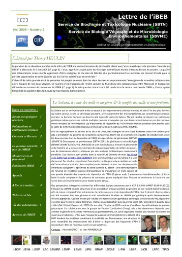 Lettre de l'iBEB - Direction des sciences du vivant - CEA