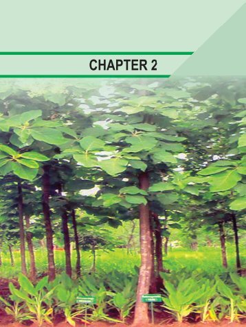 Indian Council of Forestry Research and Education - ICFRE