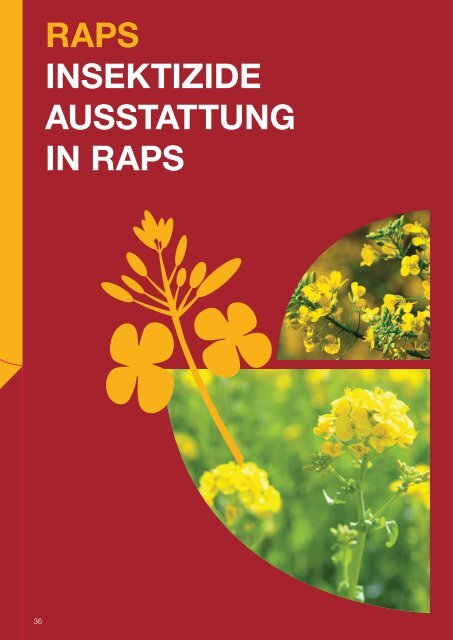 2013 SAATGUT- AUSSTATTUNG - Saatschutz