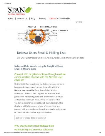 Buy Netezza Decision Makers List from Span Global Services