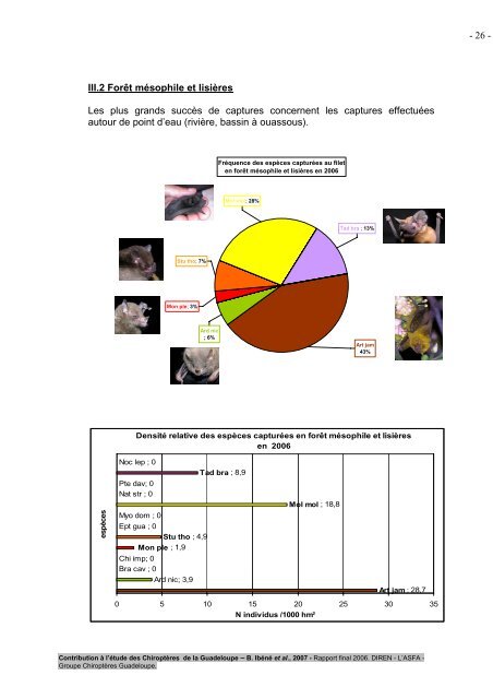 Contribution Ã  l'Ã©tude des ChiroptÃ¨res de la Guadeloupe