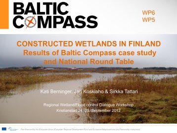 Constructed wetlands in Finland - Berninger, Koskiaho and Tattari