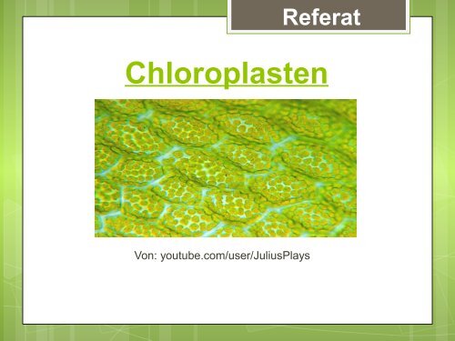 Chloroplasten