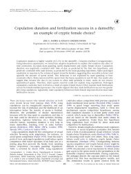 Copulation duration and fertilization success in a damselfly: an ...