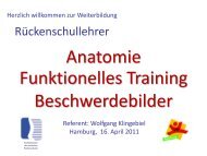 Anatomie Funktionelles Training Beschwerdebilder - bei Physiobase