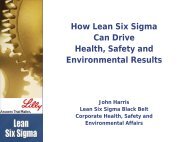 How Lean Six Sigma Can Drive Health, Safety and ... - NAEM