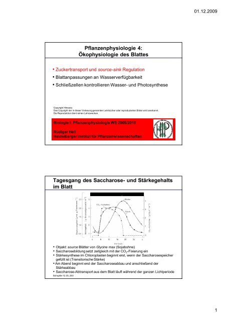 download pdf Pflanzenphysiologie 4: ÃƒÂ–kophysiologiedes ... - ZMBH