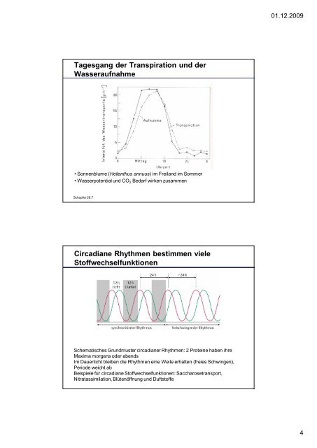 download pdf Pflanzenphysiologie 4: ÃƒÂ–kophysiologiedes ... - ZMBH