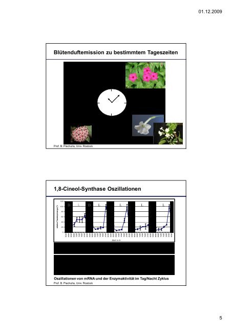 download pdf Pflanzenphysiologie 4: ÃƒÂ–kophysiologiedes ... - ZMBH