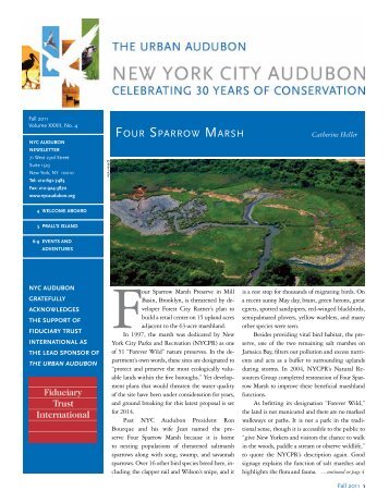 fall migration on - New York City Audubon Society