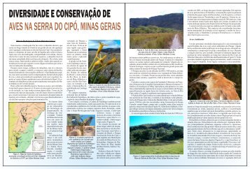 Diversidade e Conservação de Aves na Serra do Cipó, Minas Gerais