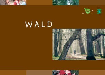 Wald (pdf) - IMORDE Projekt- & Kulturberatung