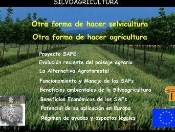 TipologÃ­a, potencial productivo y funciones ... - INRA Montpellier