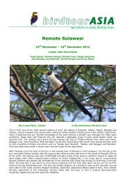 Remote Sulawesi - Birdtour Asia
