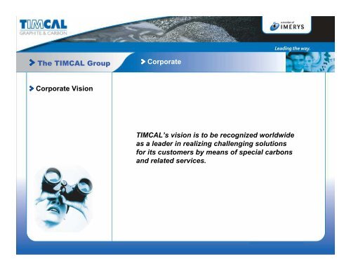 The TIMCAL Group