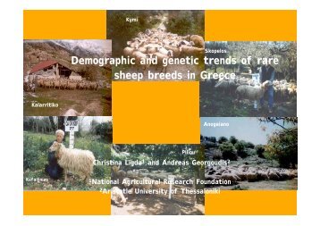 Demographic and genetic trends of rare sheep breeds in Greece