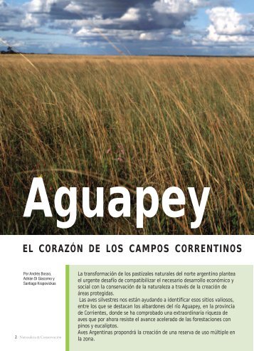 Nota aguapey.pmd - Aves Argentinas