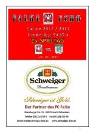 Unsere 1.Mannschaft - FC Falke Markt Schwaben