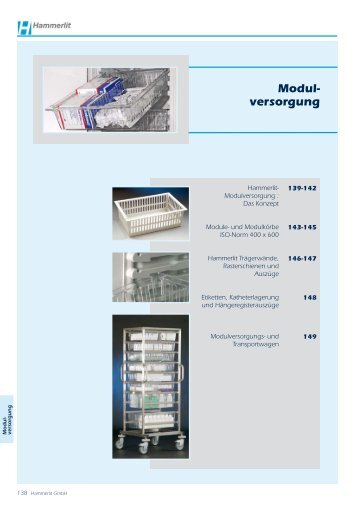 Modul- versorgung - Hammerlit