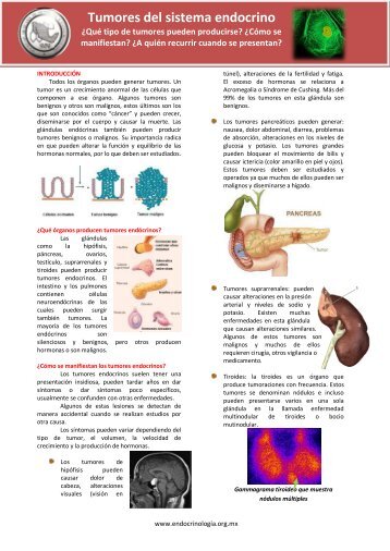 Tumores del sistema endocrino