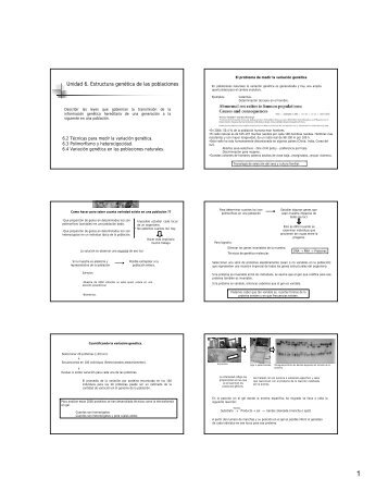 Unidad 6. Estructura genética de las poblaciones