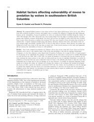 Habitat factors affecting vulnerability of moose to predation by ...