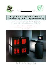 WS07/08: Physik auf Parallelrechnern I - Einführung