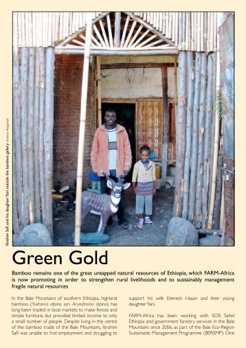 Bamboo Case Study.pdf - Farm Africa