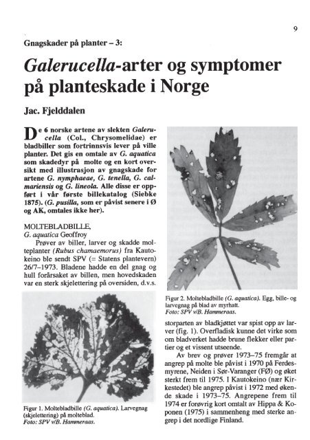 Entorno-~g~sk F-rening - Norsk entomologisk forening