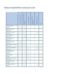 Tableau rÃ©capitulatif des vaccins pour le chat
