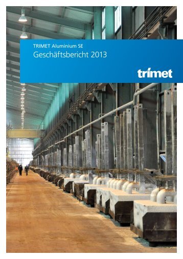 Geschäftsbericht 2013 - Trimet