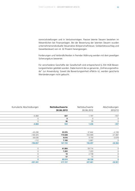 Geschäftsbericht 2013 - Trimet