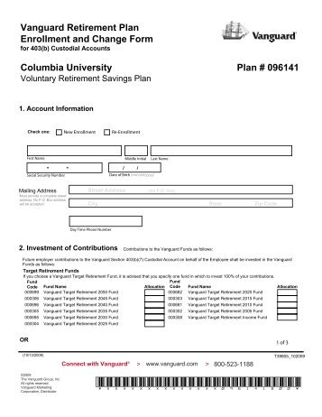 Vanguard 429 plan investment options