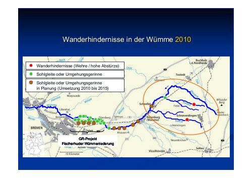 Wiederansiedlung von Meerforelle und Lachs im ... - Wanderfische