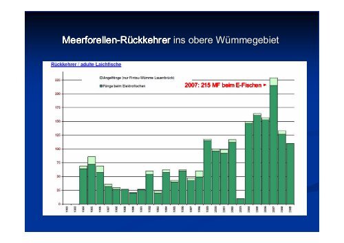 Wiederansiedlung von Meerforelle und Lachs im ... - Wanderfische