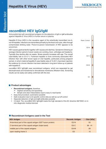 MIKROGEN recomBlot HEV IgG/IgM Hepatitis E Virus (HEV)