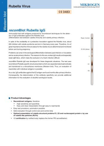 MIKROGEN recomBlot Rubella IgG Rubella Virus