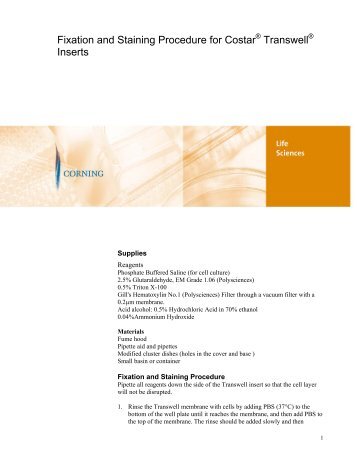 Fixation and Staining Procedure for CostarÂ® TranswellÂ® Inserts