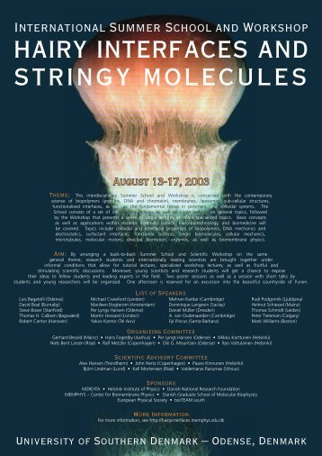 hairy interfaces and stringy molecules - Memphys - Syddansk ...