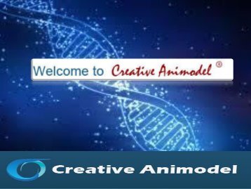 Creative Animodel - Inroduction To A Biomedical Research Organization