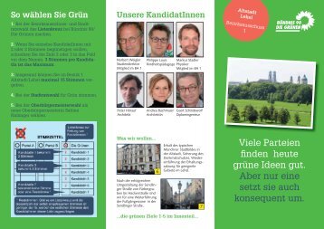 Viele Parteien finden heute grüne Ideen gut. Aber nur eine setzt sie ...