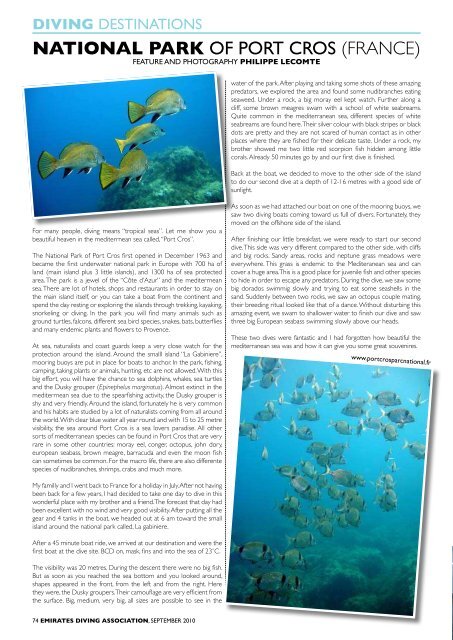 NEWS - Emirates Diving Association