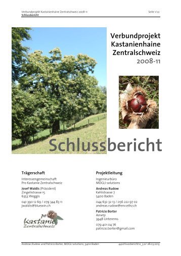 Schlussbericht 2008-11 - Kastanien