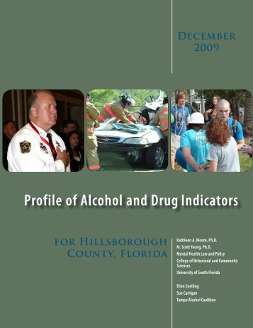 Profile of Alcohol and Drug Indicators- Hillsborough County