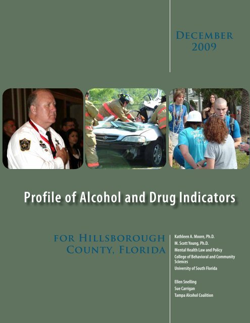 Profile of Alcohol and Drug Indicators- Hillsborough County