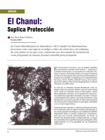 Especie Chanul, Suplica ProtecciÃ³n. - Revista El Mueble y La Madera