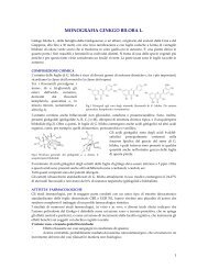 MONOGRAFIA GINKGO BILOBA L. - Monoselect.it