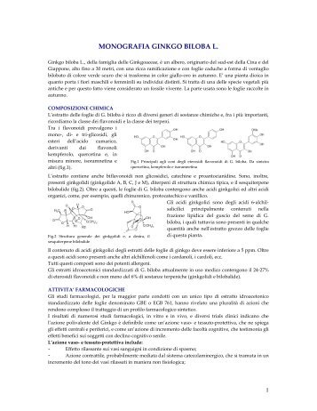 MONOGRAFIA GINKGO BILOBA L. - Monoselect.it